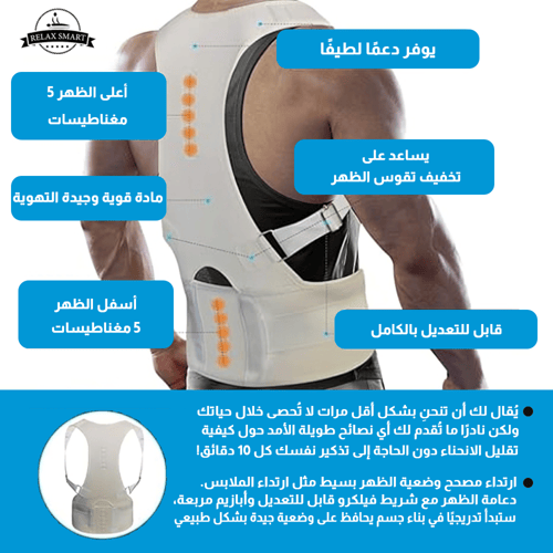 حزام الظهر كامل رويال سابورت