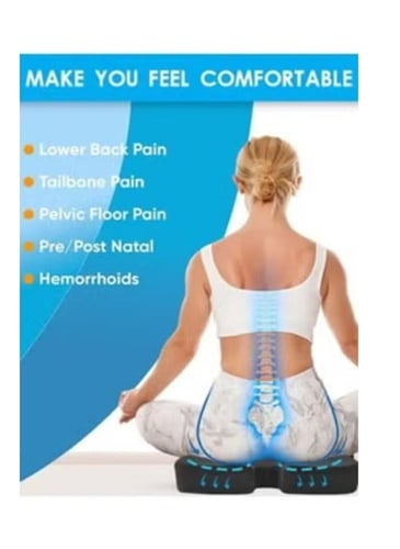 وسادة مقعد + مسند للظهر