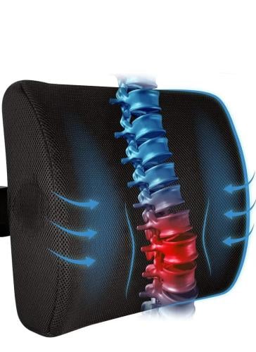 مسند دعامة أسفل الظهر