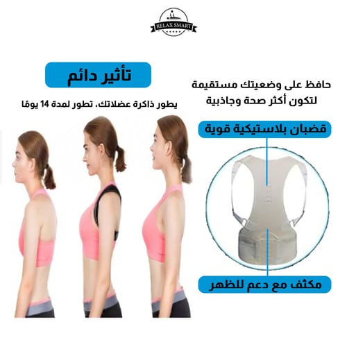 حزام الظهر كامل رويال سابورت