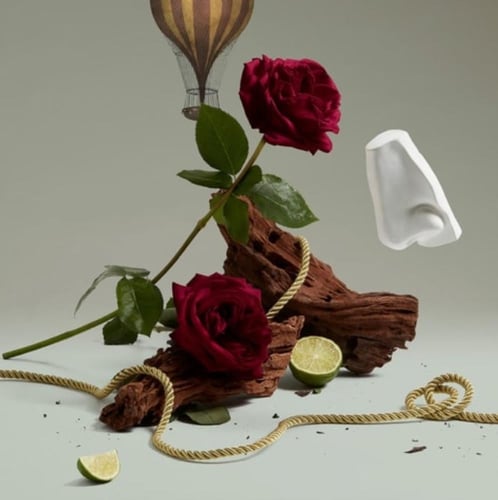 بنهالغنز هالفيتي للجنسين أو دو بارفان 100 مل