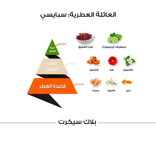 عطر بلاك سيكرت كلاسيك - 100 مل