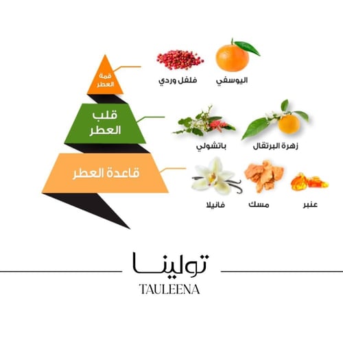 عطر ليدي تولينا - 100 مل