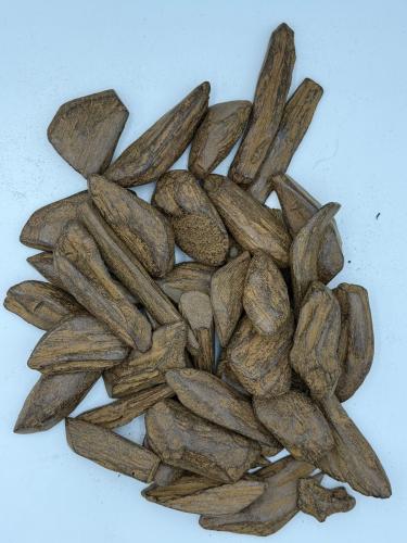Global Oud