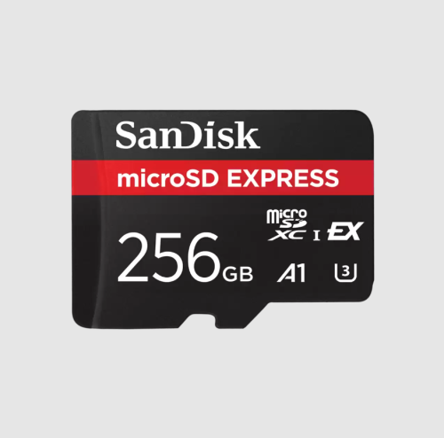 SANDISK microSD Express Card - 256GB
