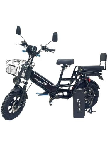 روسي بطاريتين 60V+60V