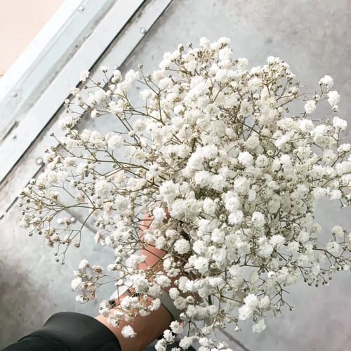 Gypso White