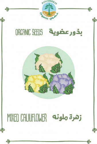 بذور زهرة ملونه (عضوي)