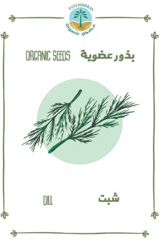 بذور الشبت (عضوي)