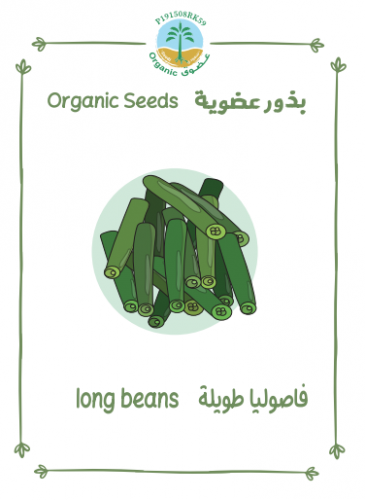 بذور فاصوليا طويلة عضوي