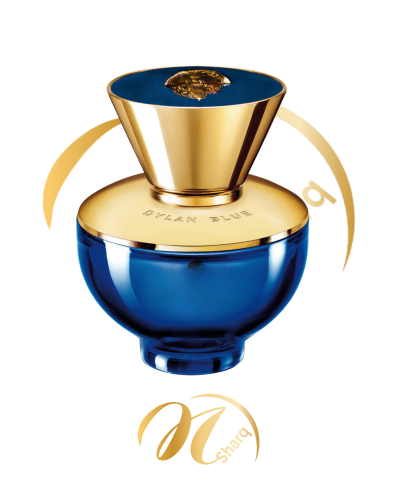 بدیل فرزاتش دیلان بلو للنساء / substitute VERSACE...