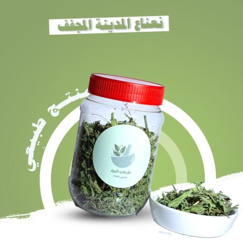 نعناع مغربي مجفف