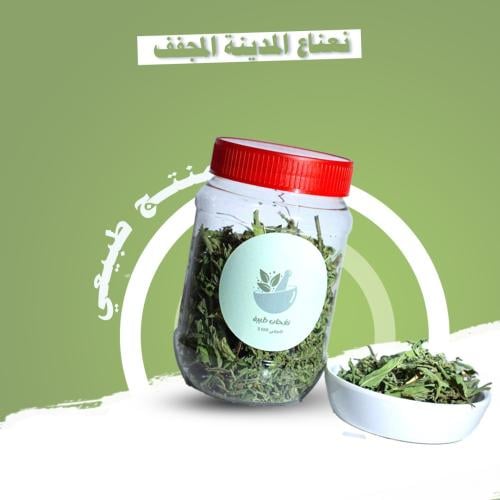 نعناعى حساوي مجفف