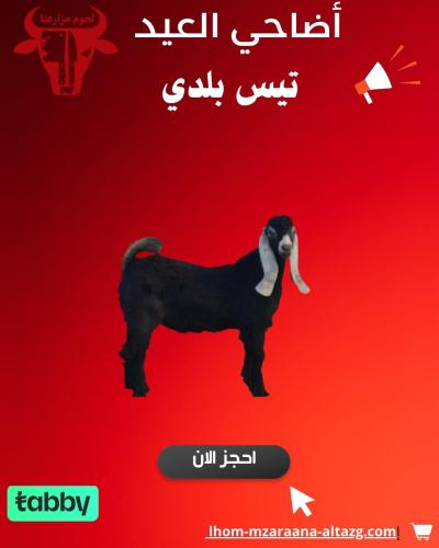 تيس