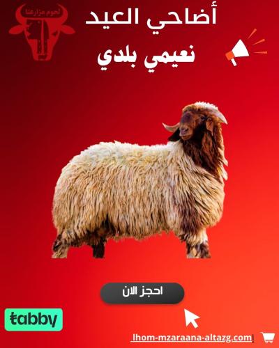 ذبيحة نعيمي بلدي