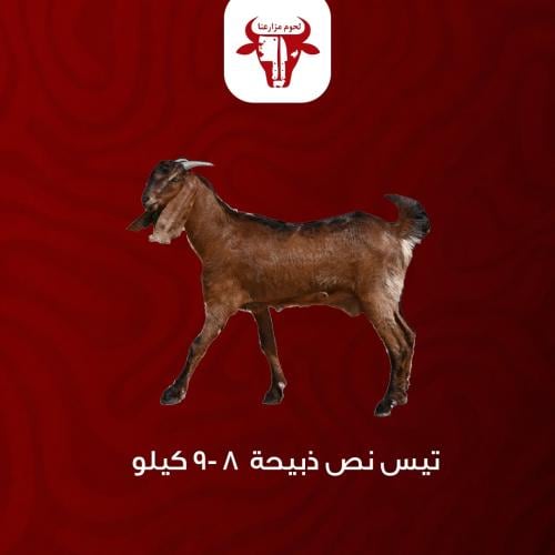نصف تيس - وزن (8 - 9 ) كيلو