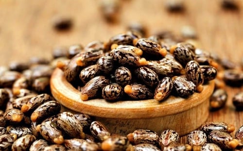 زيت الخروع للبشرة و الشعر من ناو 473 مل