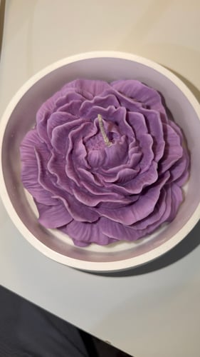 🌸💜..