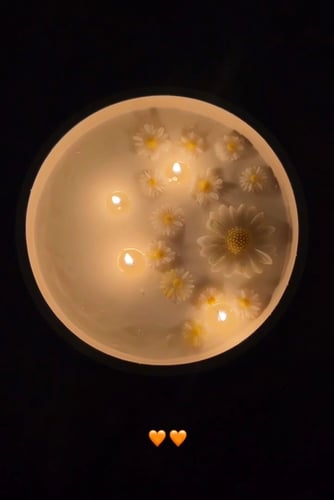شمعة الاقحوانة 🌸