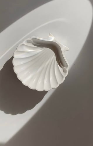 صدف