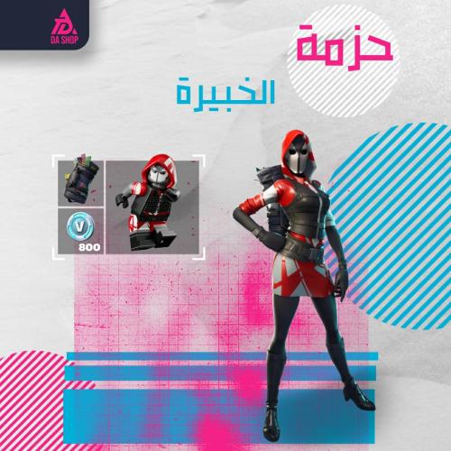 حزمة الخبيرة