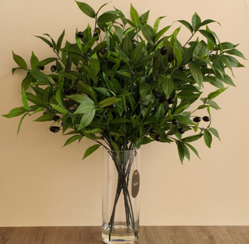 Olive Branch أغصان زيتون بتصميم طبيعي