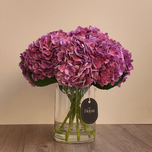 Blush Pink Hydrangea