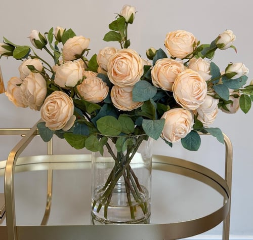 Peach Royale Peony