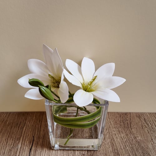 Bloom Light – Mini 1