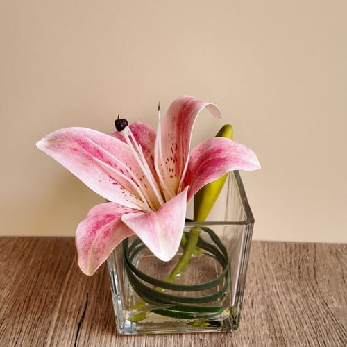 Lily Pink Mini