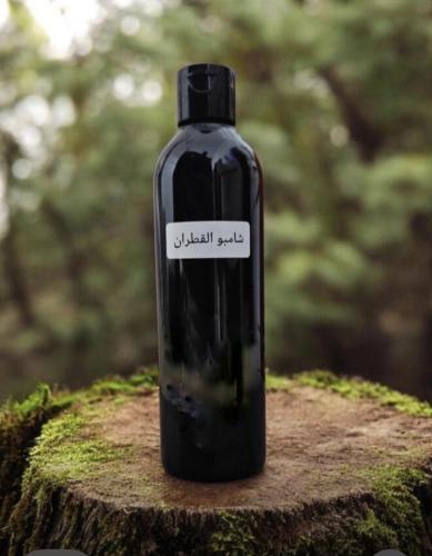 شامبو القطران