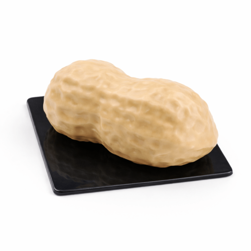 Peanut