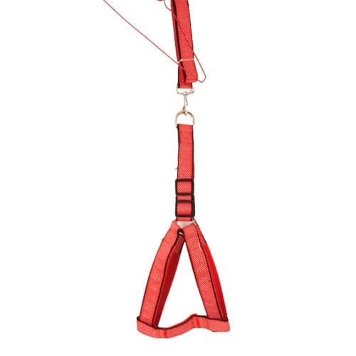 صدرية للكلاب, ألوان متعدده