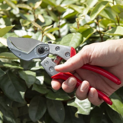 مقص شجر يدوي VA-8Z ياباني ARS Corporation