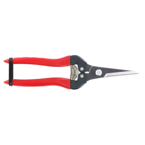 مقص ثمار شفرة بولاد 300L ياباني ARS Corporation