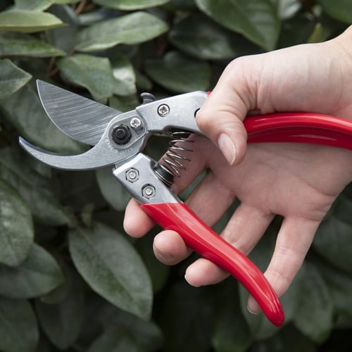 مقص شجر يدوي VS9 ياباني ARS Corporation