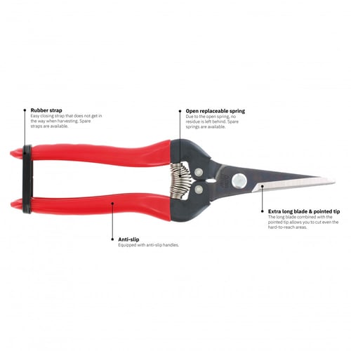 مقص ثمار شفرة بولاد 300L ياباني ARS Corporation