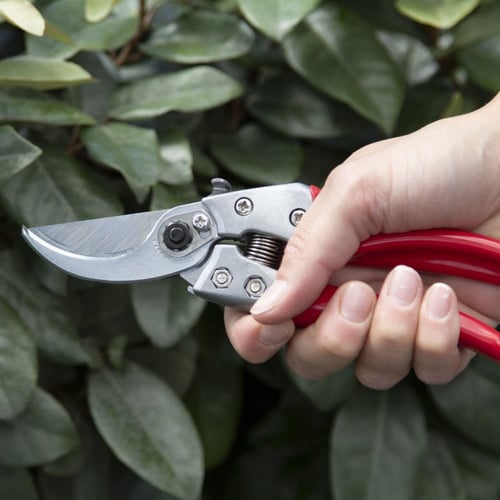 مقص شجر يدوي VS9 ياباني ARS Corporation
