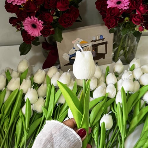 شمعة التوليب للحبة