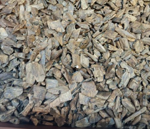 عود ( كينام ) صيني طبيعي , بالأوقية