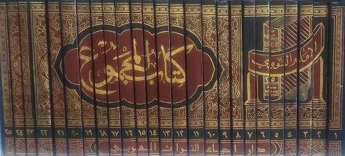 المجموع شرح المهذب 25/1