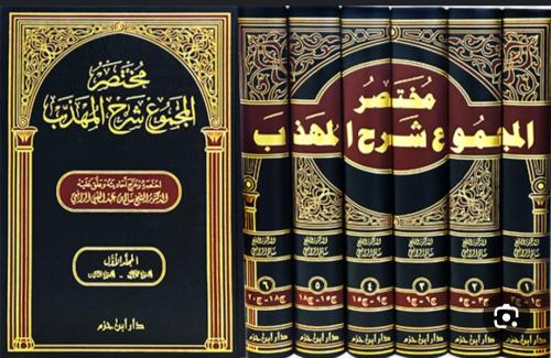 مختصر المجموع شرح المهذب 6/1