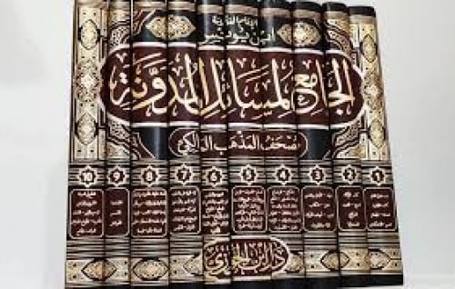 الجامع لمسائل المدونة 10/1