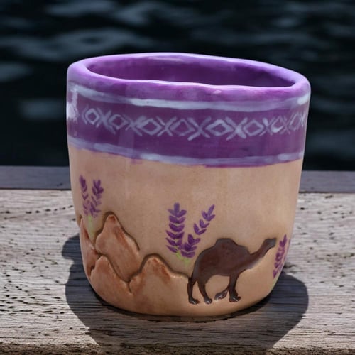 رواء الصحراء