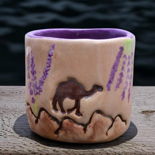 رواء الصحراء