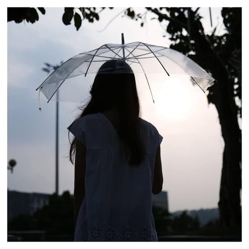 مظلة شفافة ذات تصميم جمالي للحماية من المطر