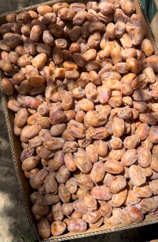 تمر خلاص خام نثر - حجز مسبق