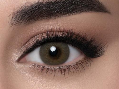 Petroleum lens - PETROLEUM from Lens Me