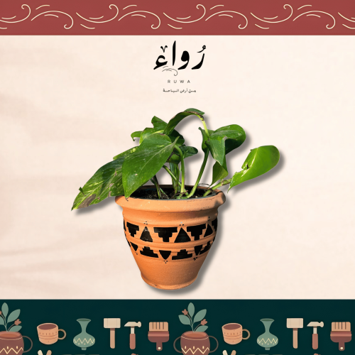 Hand-painted clay planting basin - 15 cm size