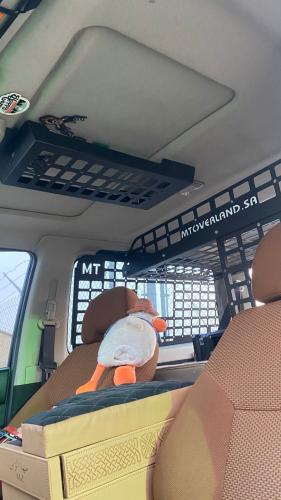 مولي السقف - نيسان فتك بابين مع وجود التنده